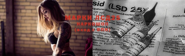 прущая мука Алзамай
