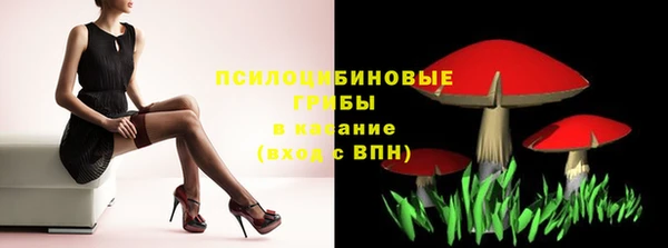 ГАЛЛЮЦИНОГЕННЫЕ ГРИБЫ Алексин