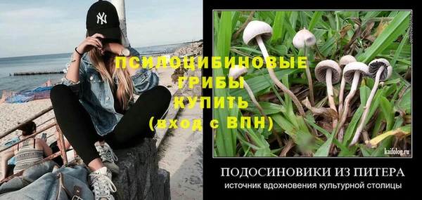 прущая мука Алзамай