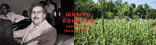 ГАЛЛЮЦИНОГЕННЫЕ ГРИБЫ Алексин
