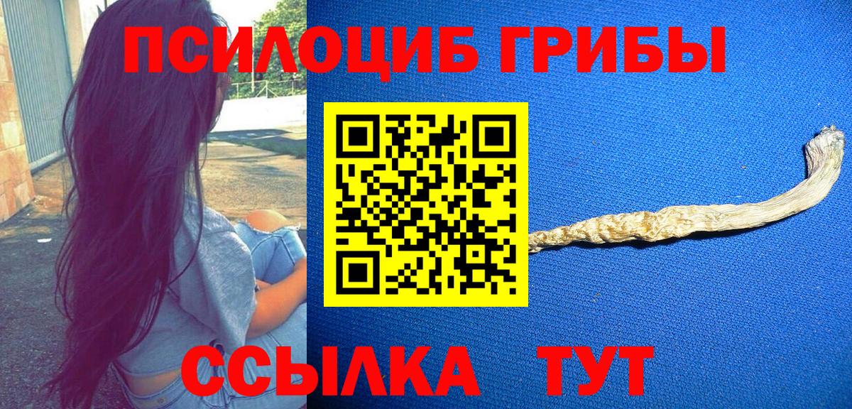 Коркино  Псилоцибиновые грибы Psilocybine cubensis  Вход с VPN  Псилоцибиновые грибы Psilocybine cubensis 